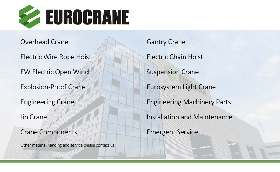 Eurocrane Brand Material Handling Equipment of Electric Wire Rope Hoist