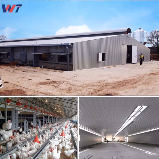 1460 57inch Fiberglass FRP Cone Ventilation Exhaust Fan Poultry Farm Equipment/Warehouse/Greenhouse/Workshop